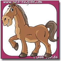 animal flashcards horse