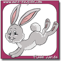 animal flash cards rabbit