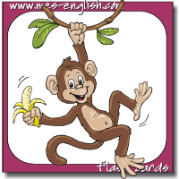monkey flash card