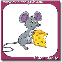 animal flash cards mouse