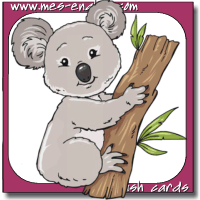 animal flash card koala