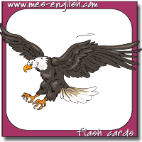 animal flashcards eagle flying