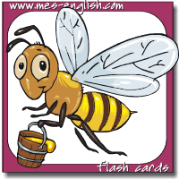 insect flash card bee with honey