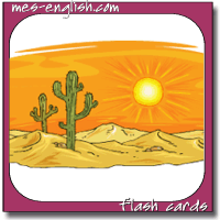 habitat flash cards desert cactus